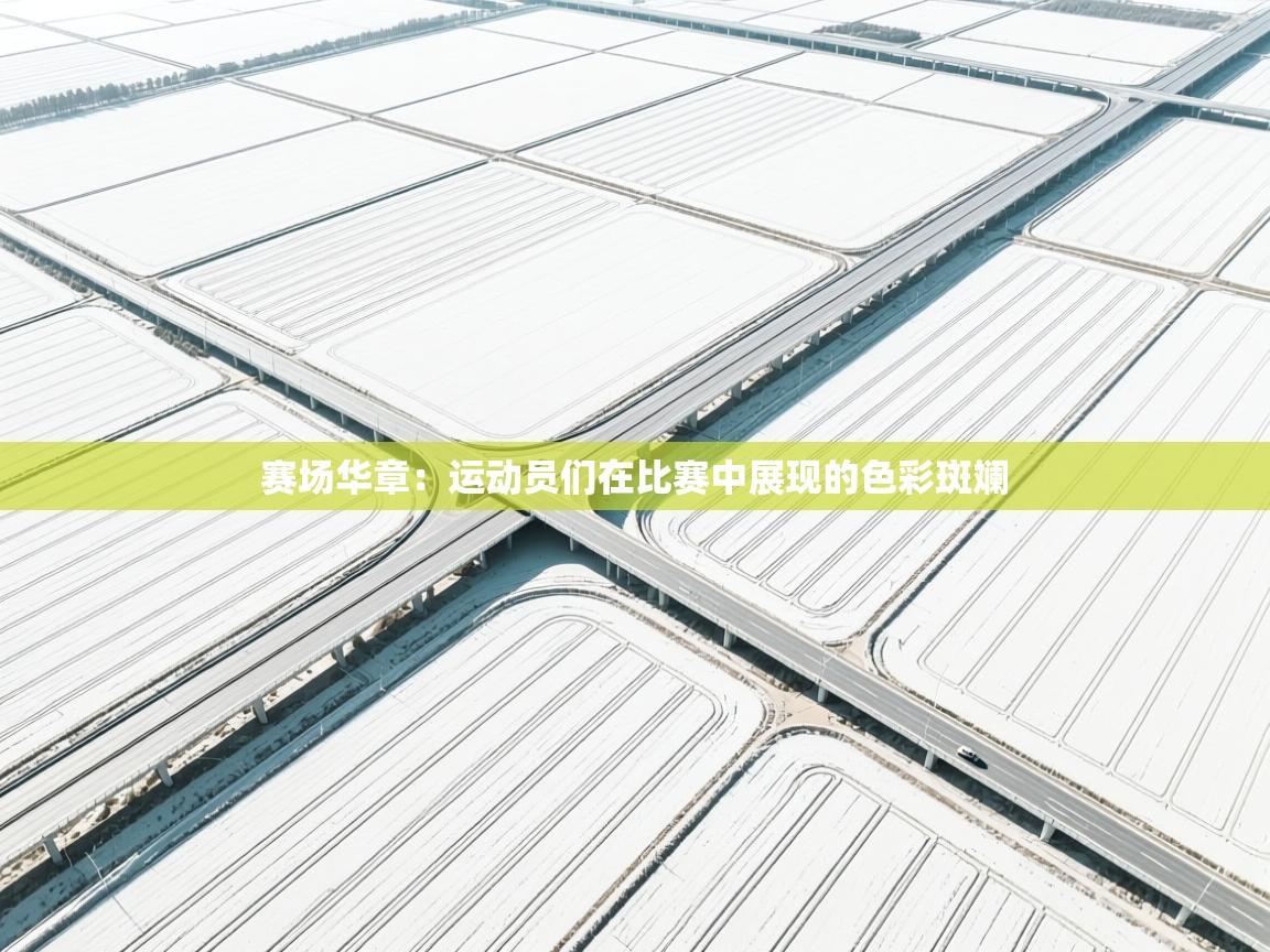 赛场华章:运动员们在比赛中展现的色彩斑斓 第2张