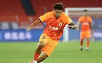 球员公开抨击裁判判罚不公，引发球迷热议的简单介绍