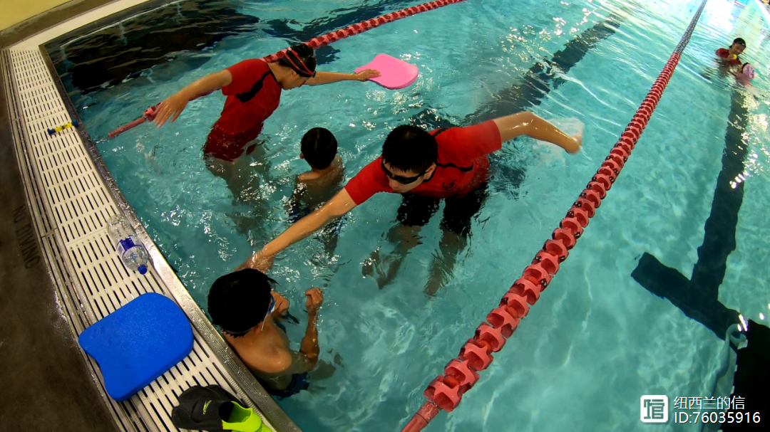 新西兰选手在游泳赛场闪耀，获得金牌头衔